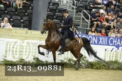 24R13_09881 thumbnail