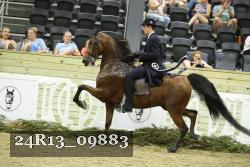 24R13_09883 thumbnail
