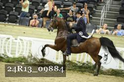 24R13_09884 thumbnail