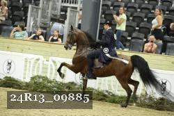 24R13_09885 thumbnail