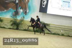 24R13_09886 thumbnail