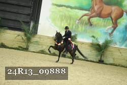 24R13_09888 thumbnail