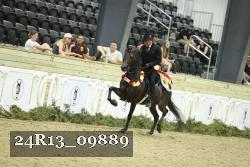 24R13_09889 thumbnail