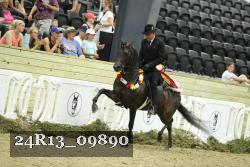 24R13_09890 thumbnail