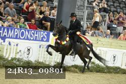 24R13_09891 thumbnail