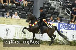 24R13_09893 thumbnail