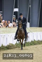 24R13_09895 thumbnail