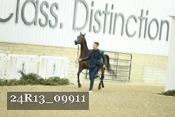 24R13_09911 thumbnail