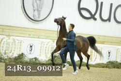 24R13_09912 thumbnail