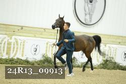 24R13_09913 thumbnail