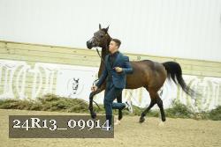 24R13_09914 thumbnail