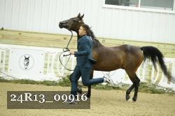 24R13_09916 thumbnail