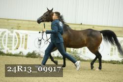 24R13_09917 thumbnail