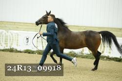 24R13_09918 thumbnail