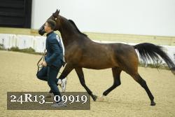 24R13_09919 thumbnail