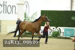 24R13_09920 thumbnail