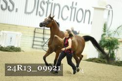 24R13_09921 thumbnail