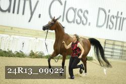 24R13_09922 thumbnail