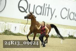 24R13_09924 thumbnail