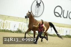 24R13_09925 thumbnail