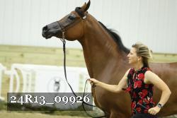 24R13_09926 thumbnail