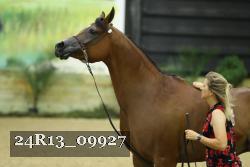 24R13_09927 thumbnail