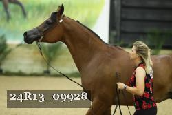 24R13_09928 thumbnail