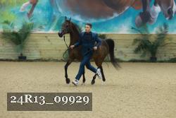 24R13_09929 thumbnail