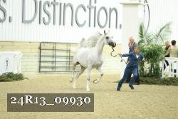 24R13_09930 thumbnail