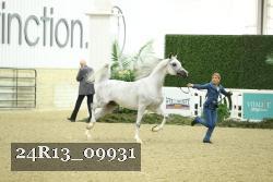 24R13_09931 thumbnail