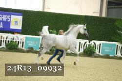24R13_09932 thumbnail