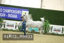 24R13_09933 thumbnail