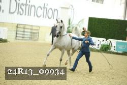 24R13_09934 thumbnail