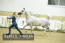 24R13_09936 thumbnail