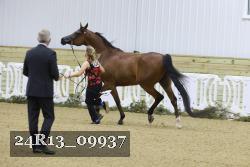 24R13_09937 thumbnail
