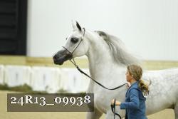 24R13_09938 thumbnail