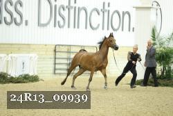 24R13_09939 thumbnail