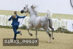 24R13_09940 thumbnail
