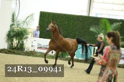 24R13_09941 thumbnail