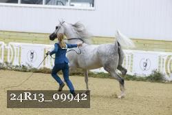 24R13_09942 thumbnail