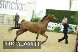 24R13_09944 thumbnail