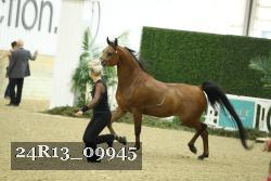 24R13_09945 thumbnail