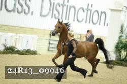 24R13_09946 thumbnail