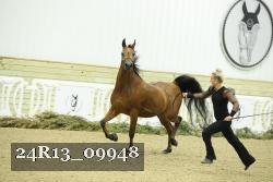 24R13_09948 thumbnail