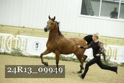 24R13_09949 thumbnail