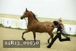 24R13_09950 thumbnail