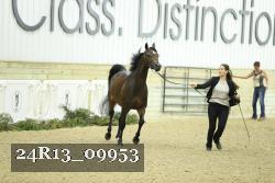 24R13_09953 thumbnail