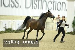 24R13_09954 thumbnail