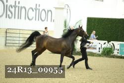 24R13_09955 thumbnail