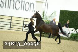 24R13_09956 thumbnail